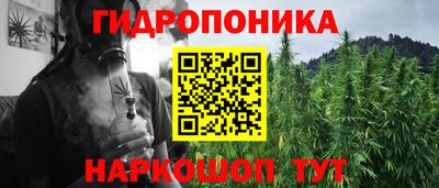 spice Гусь-Хрустальный