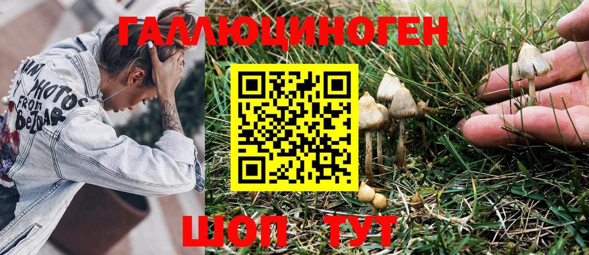 Псилоцибиновые грибы GOLDEN TEACHER Муром