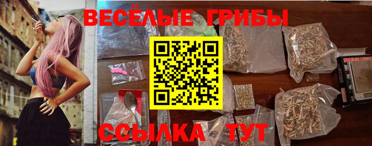 Галлюциногенные грибы Psilocybe  Вход с VPN  Муром 